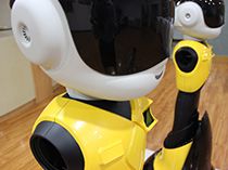 Recent projects we finished