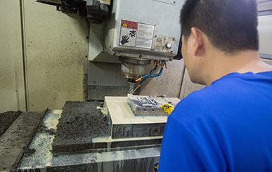 Mold Processing Service