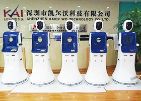 Kaierwo Polyurethane Casting Project